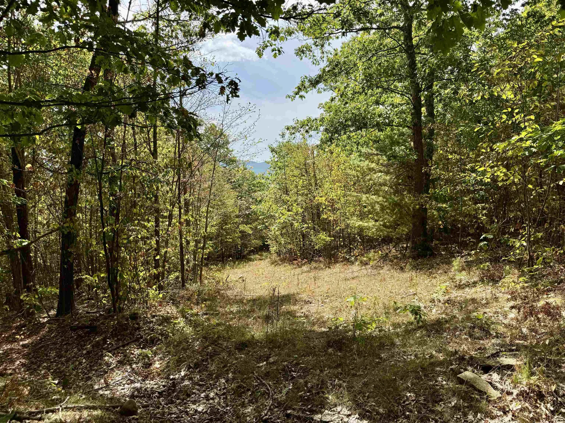 00 Jeffers Hill Road Haverhill NH 03780