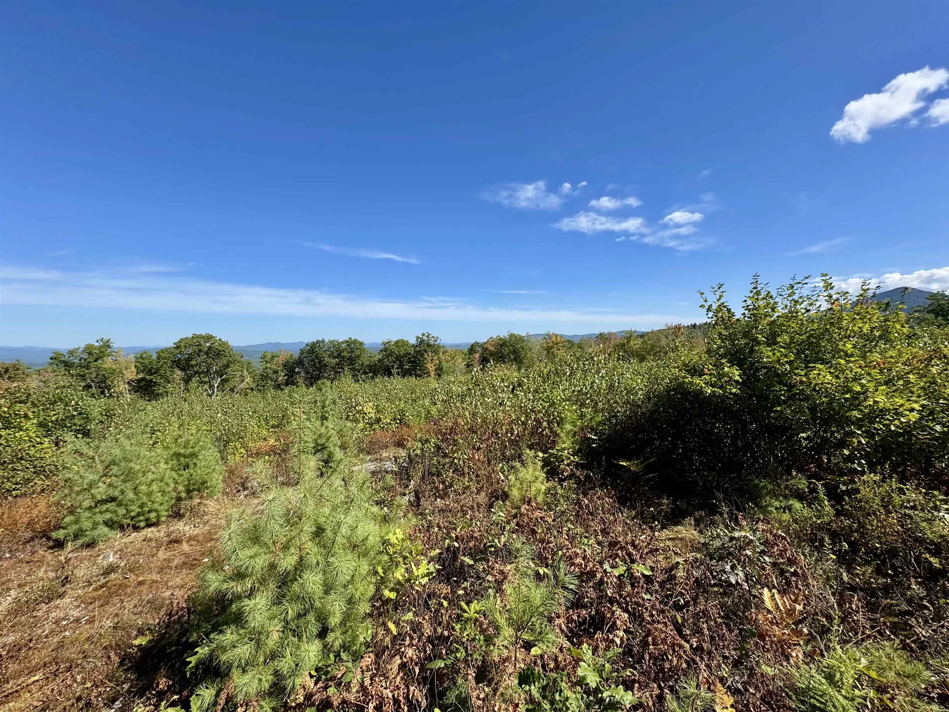 00 Jeffers Hill Road Haverhill NH 03780