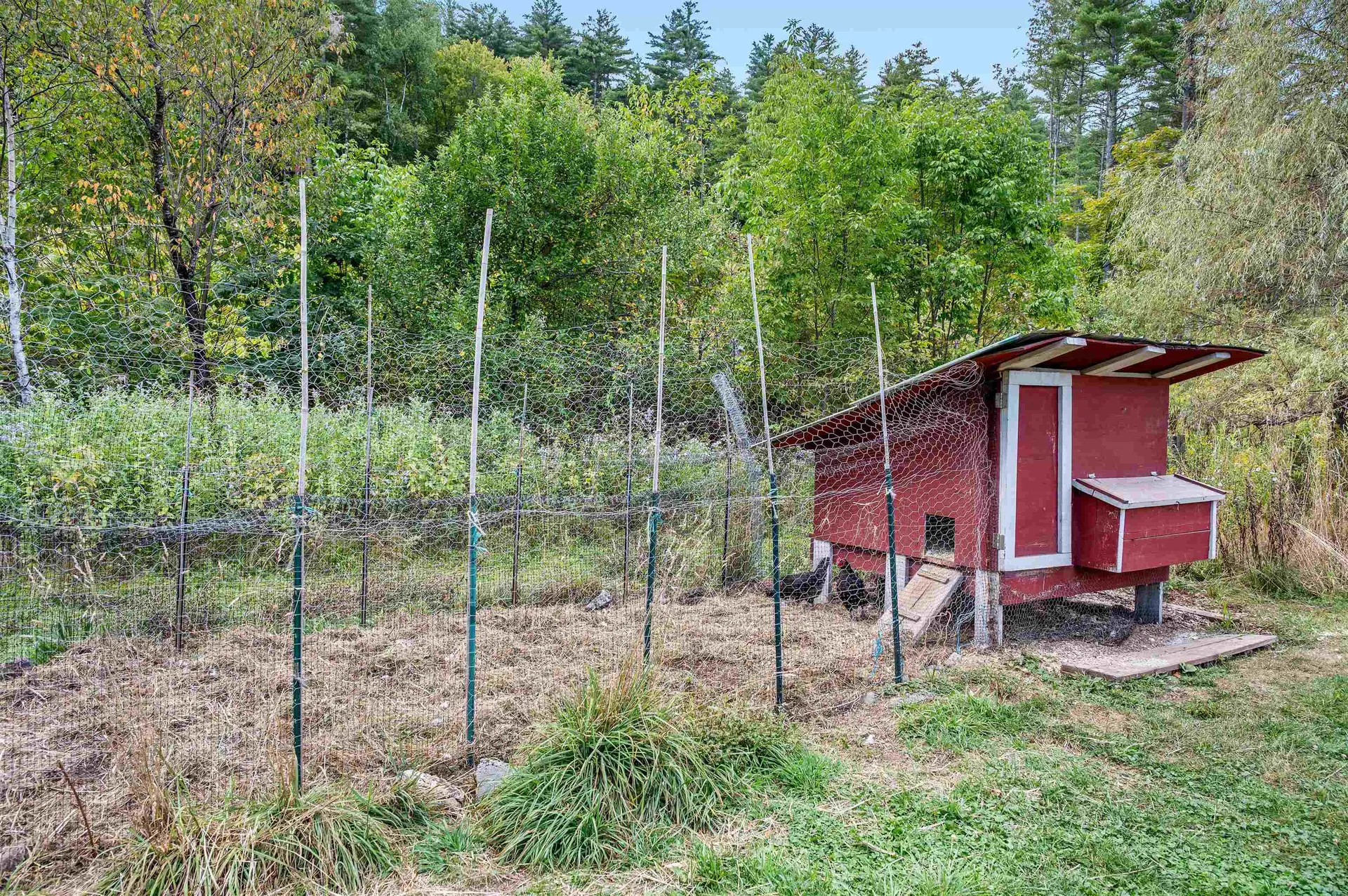 55 Worcester Village Road Worcester VT 05682