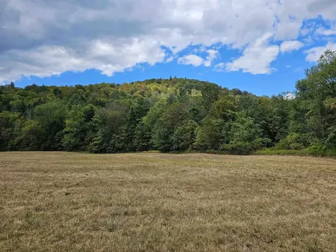 6235 Grafton Road Townshend VT 05353