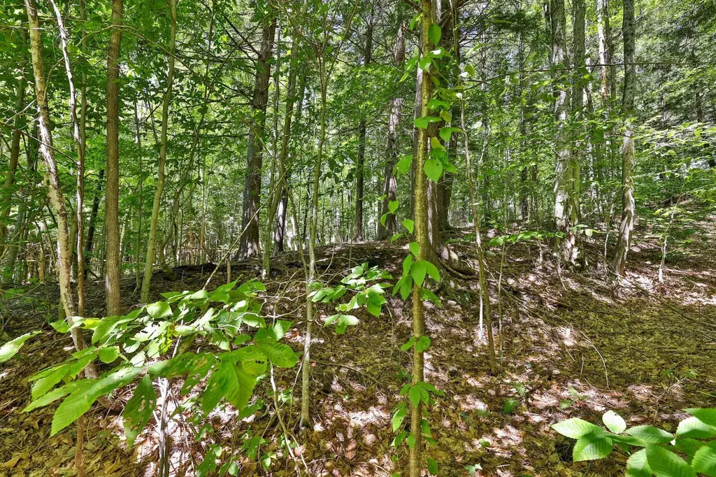 Lot 49 Spring Street Stockbridge VT 05772