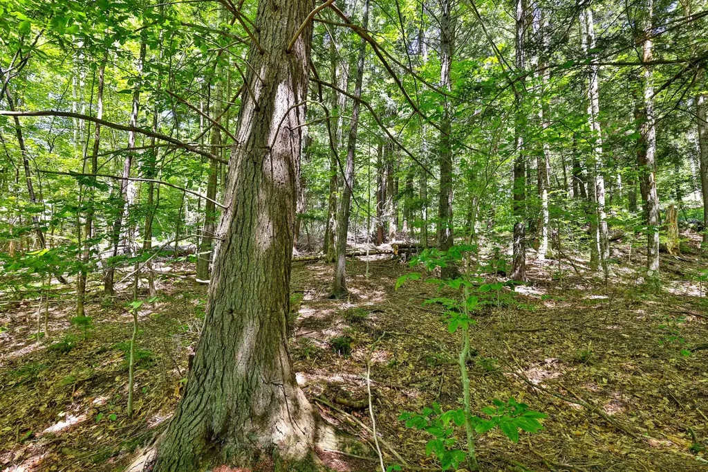 Lot 49 Spring Street Stockbridge VT 05772