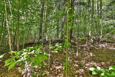 Lot 49 Spring Street Stockbridge VT 05772