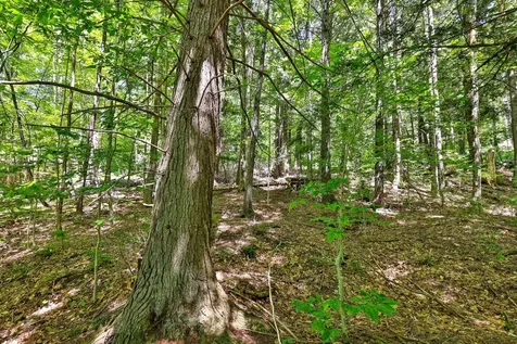 Lot 49 Spring Street Stockbridge VT 05772