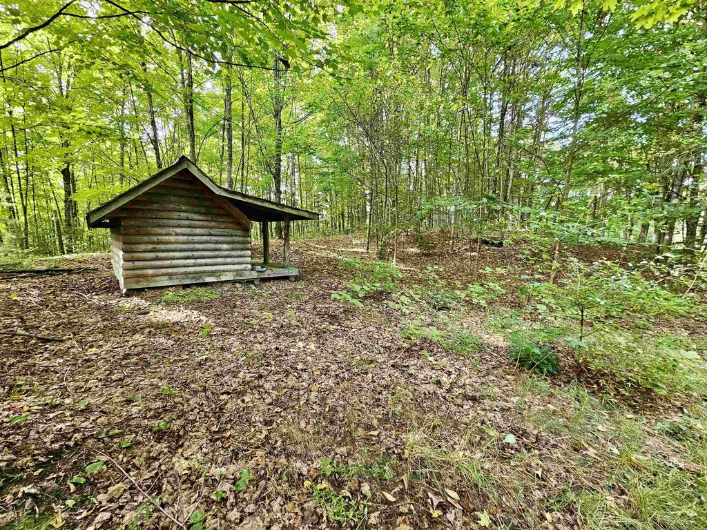 253 Pray Drive Albany VT 05820