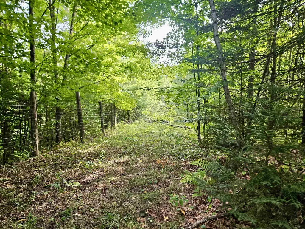 253 Pray Drive Albany VT 05820