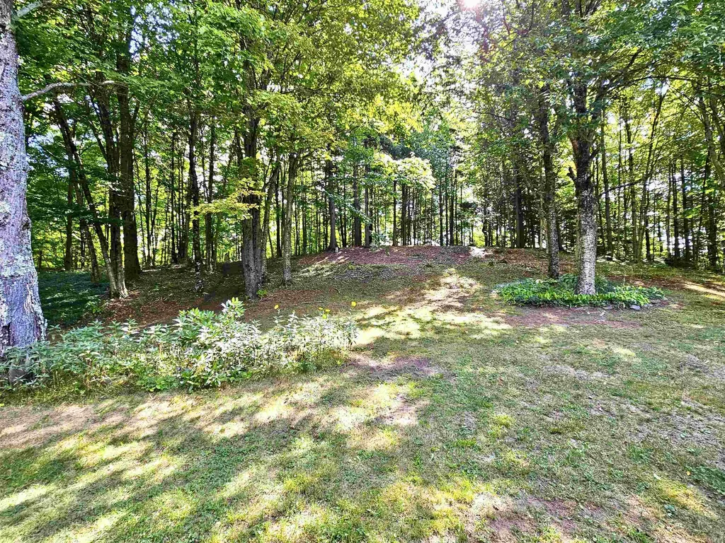 253 Pray Drive Albany VT 05820