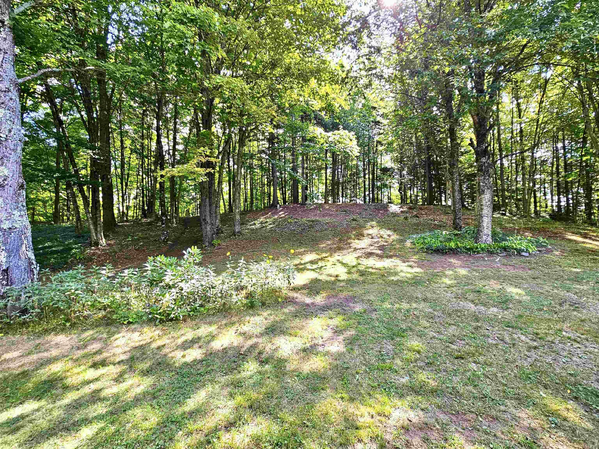 253 Pray Drive Albany VT 05820