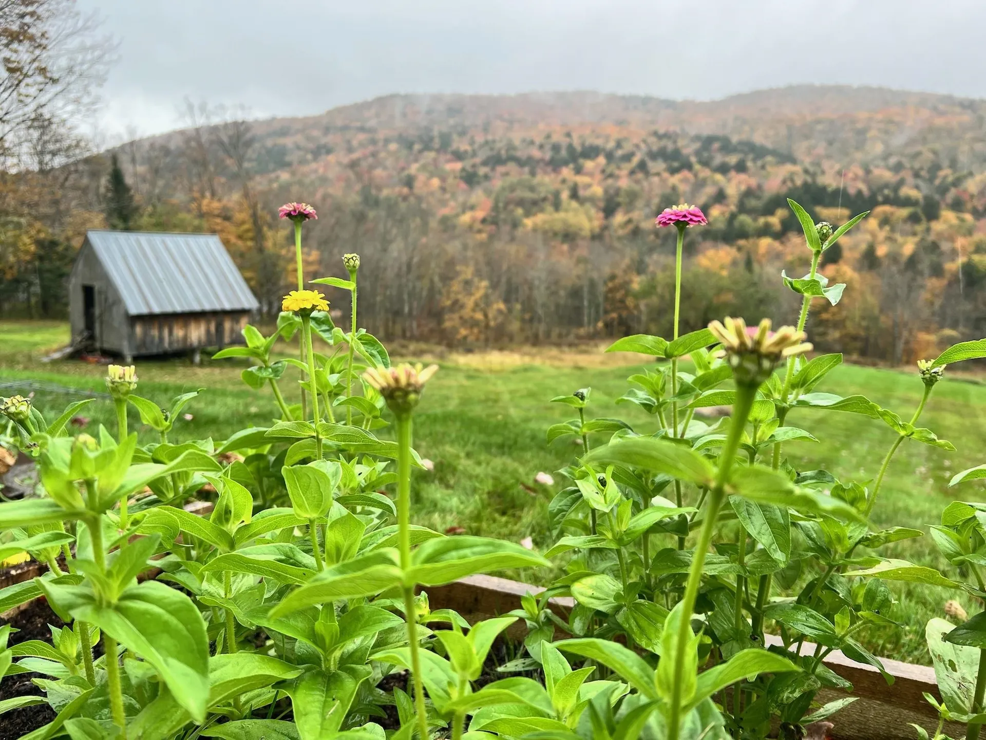 2385 North Fayston Road Fayston VT 05660