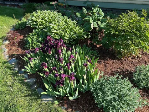 2385 North Fayston Road Fayston VT 05660