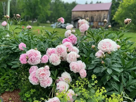 2385 North Fayston Road Fayston VT 05660