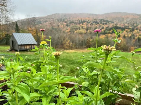 2385 North Fayston Road Fayston VT 05660