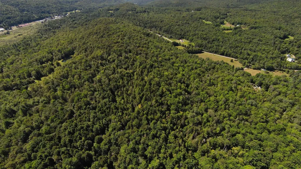 00 Warren Mountain Road Roxbury VT 05669
