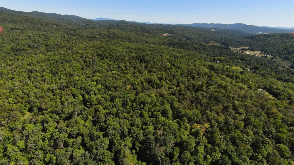 00 Warren Mountain Road Roxbury VT 05669