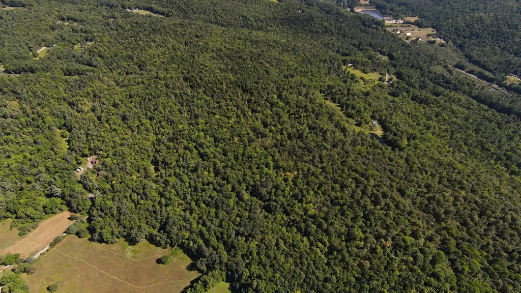 00 Warren Mountain Road Roxbury VT 05669
