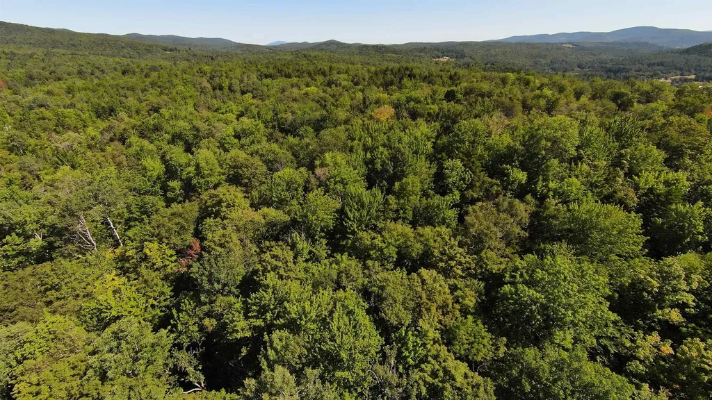 00 Warren Mountain Road Roxbury VT 05669
