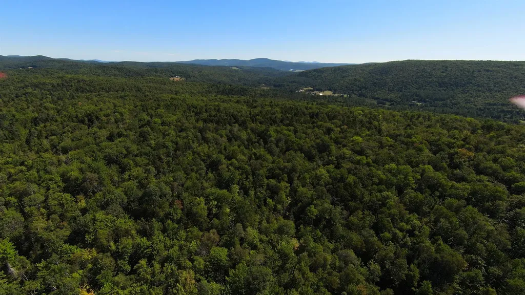 00 Warren Mountain Road Roxbury VT 05669