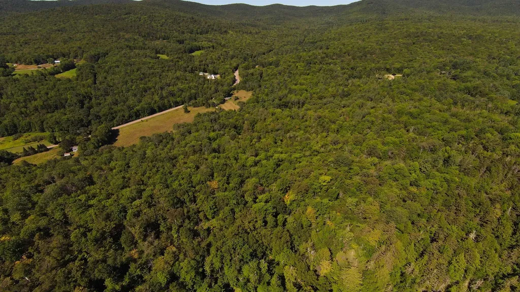 00 Warren Mountain Road Roxbury VT 05669