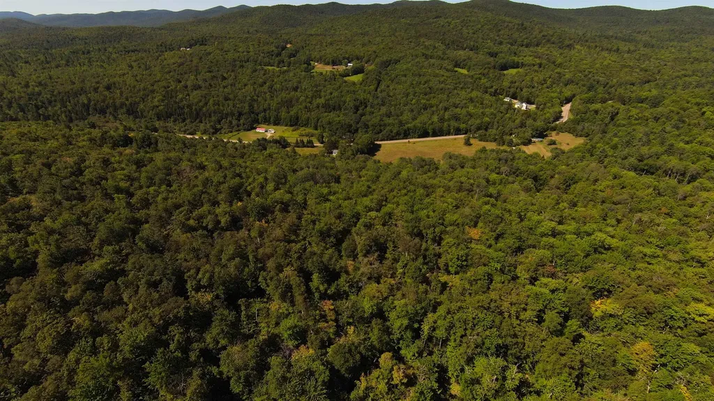 00 Warren Mountain Road Roxbury VT 05669