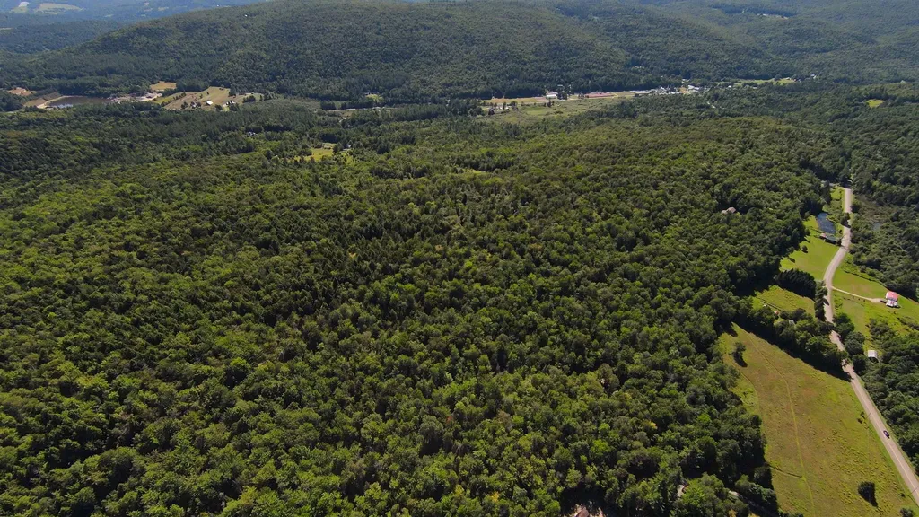 00 Warren Mountain Road Roxbury VT 05669
