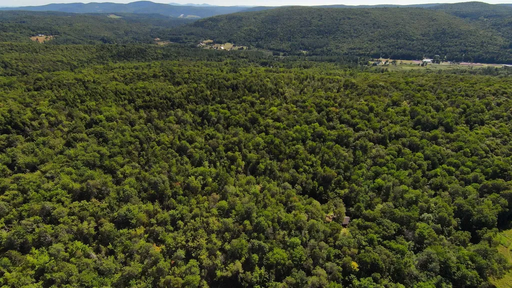 00 Warren Mountain Road Roxbury VT 05669