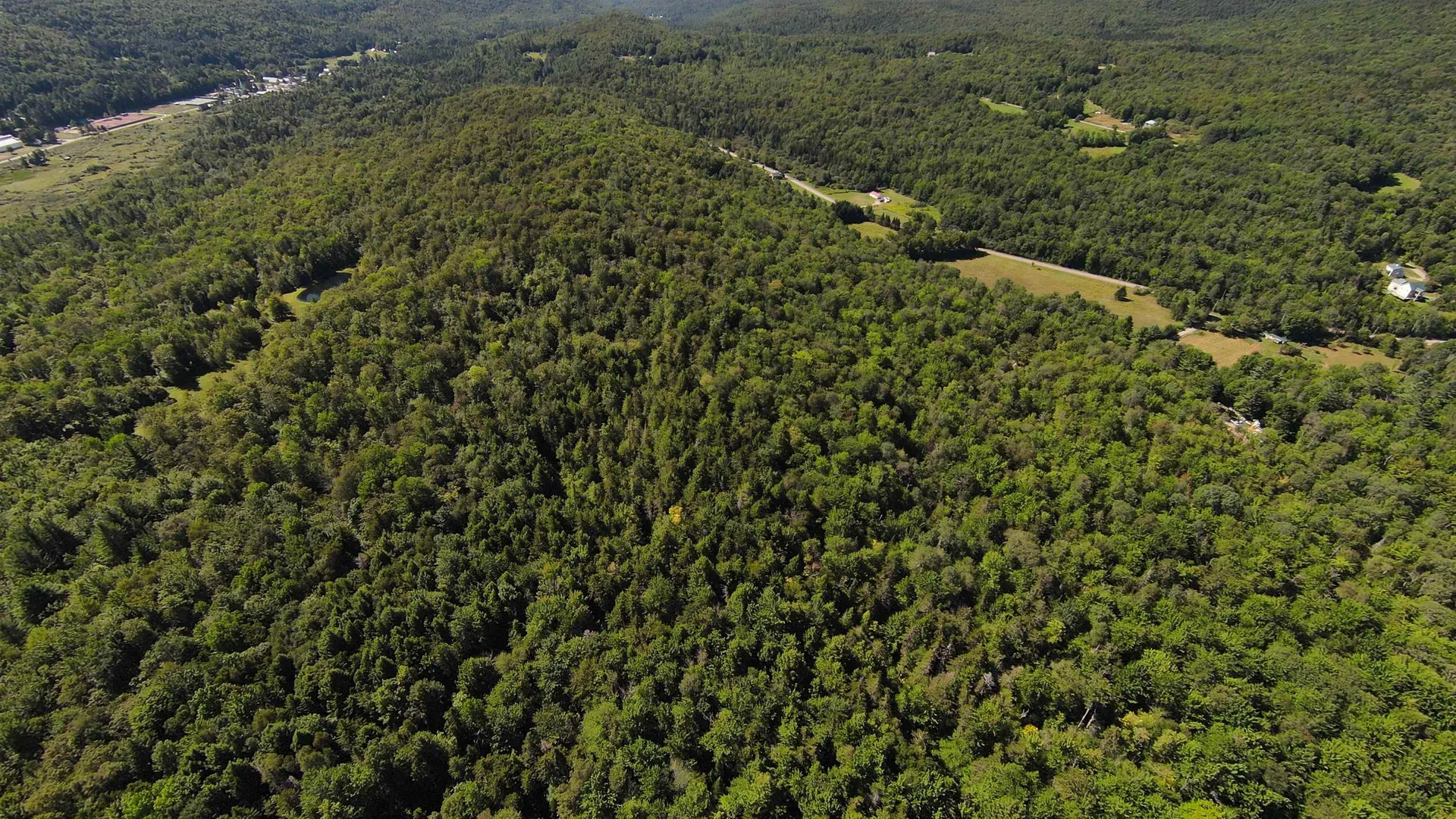00 Warren Mountain Road Roxbury VT 05669