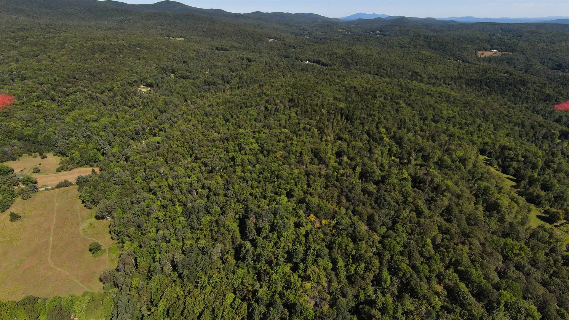 00 Warren Mountain Road Roxbury VT 05669