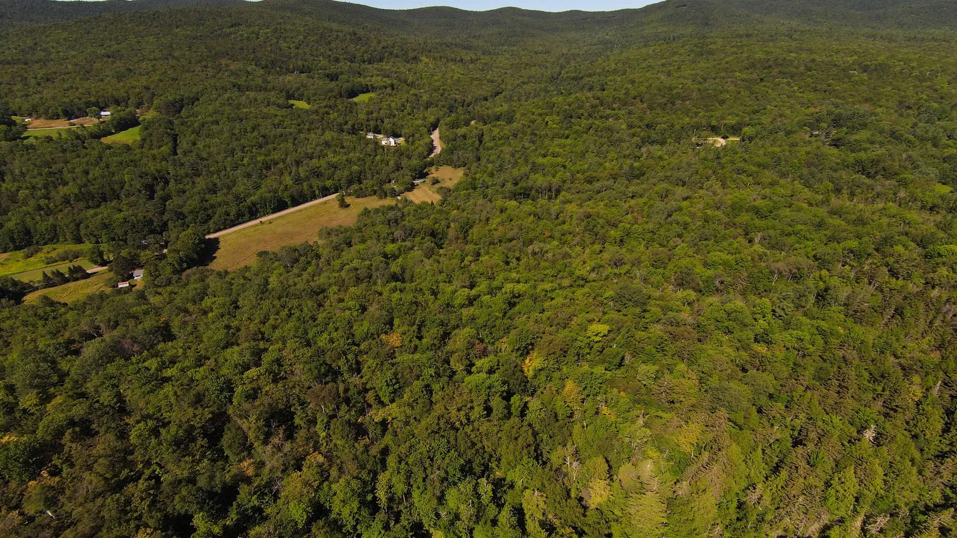 00 Warren Mountain Road Roxbury VT 05669