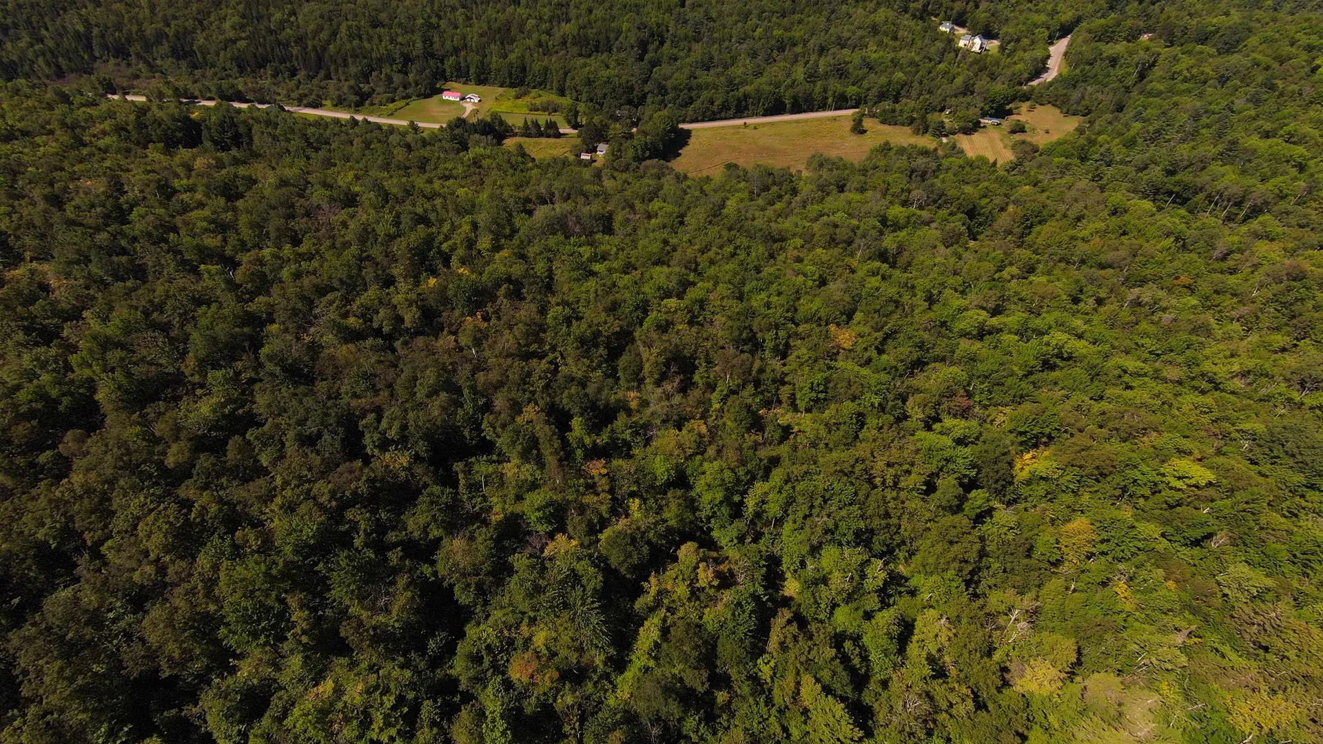 00 Warren Mountain Road Roxbury VT 05669