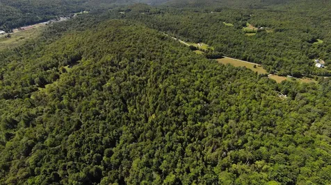 00 Warren Mountain Road Roxbury VT 05669