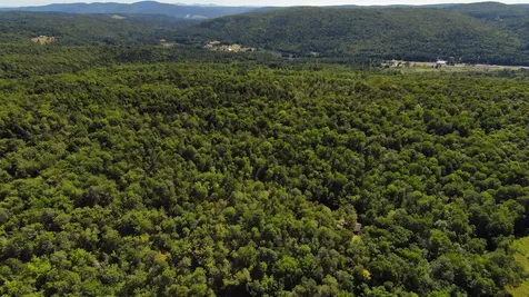 00 Warren Mountain Road Roxbury VT 05669