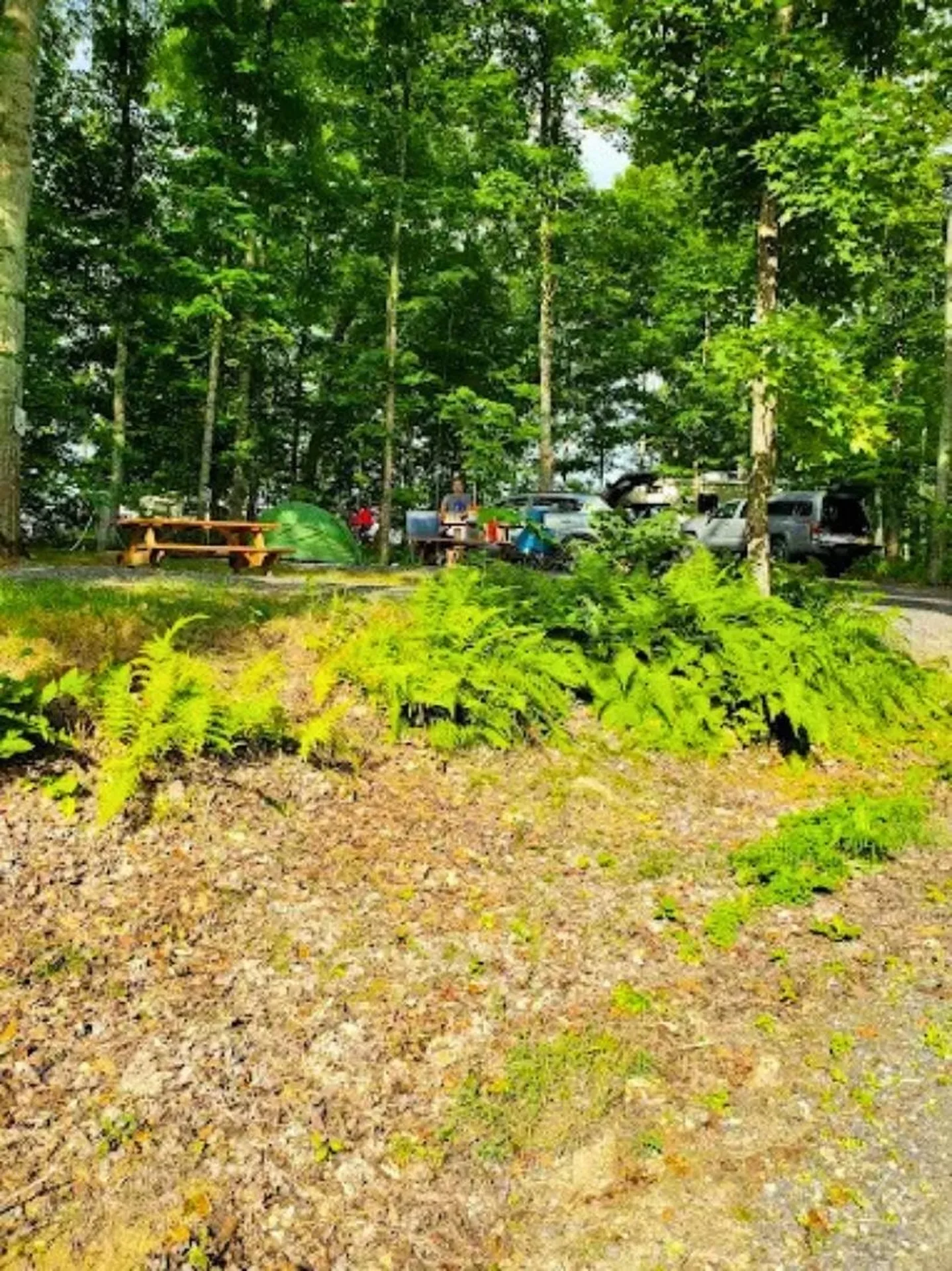 341 Town Farm Road Lyndon VT 05819