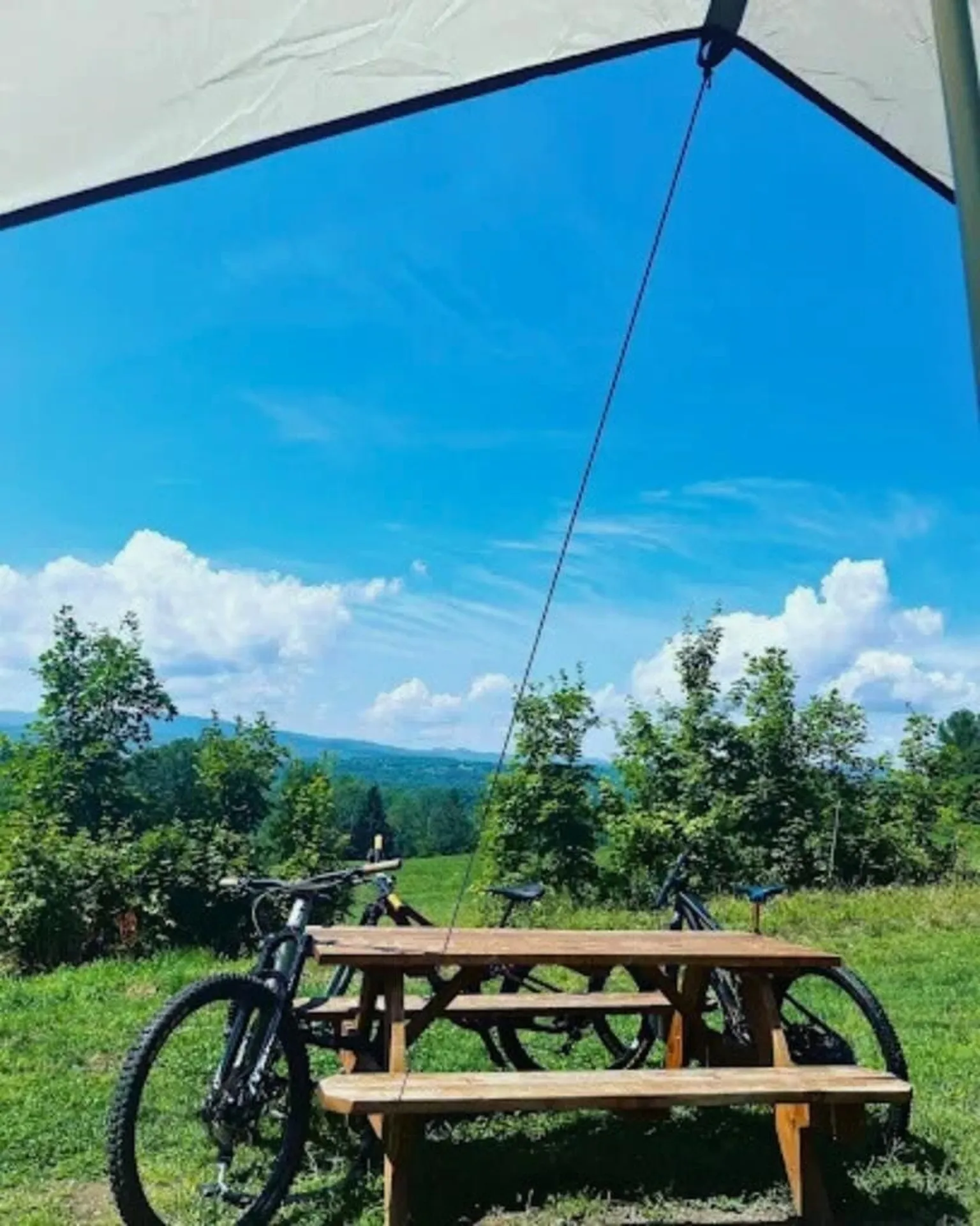 341 Town Farm Road Lyndon VT 05819