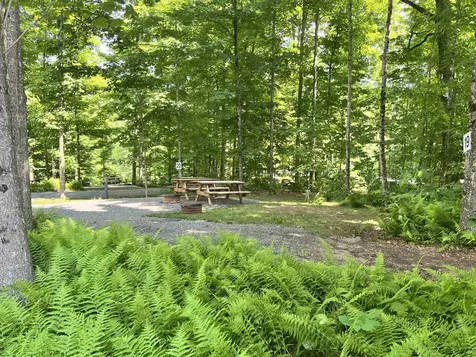 341 Town Farm Road Lyndon VT 05819