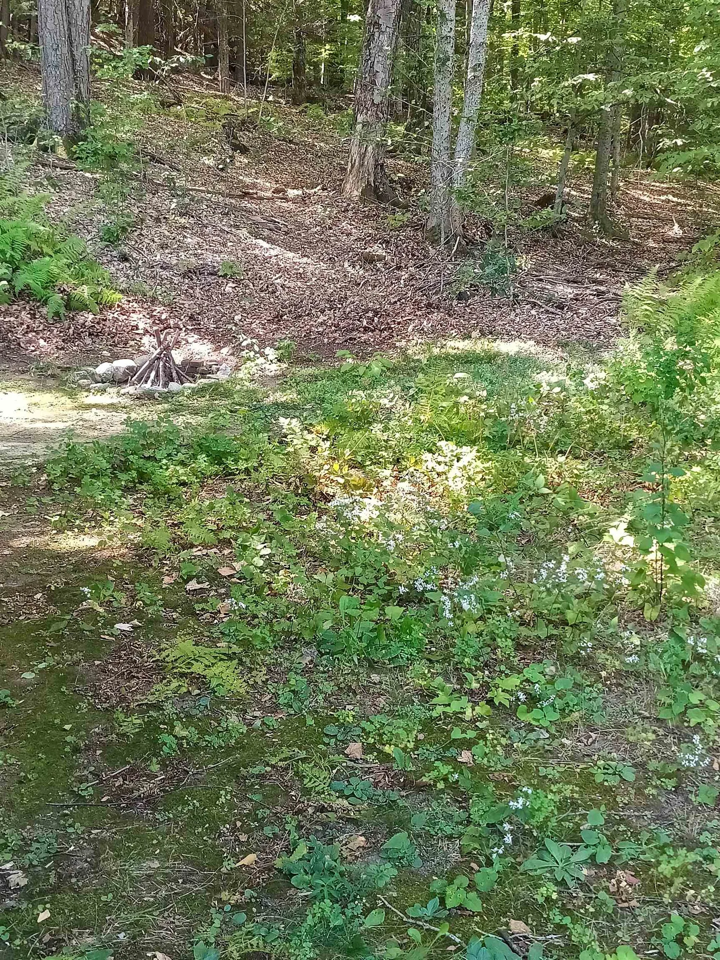 59 Brookside Drive Brattleboro VT 05301