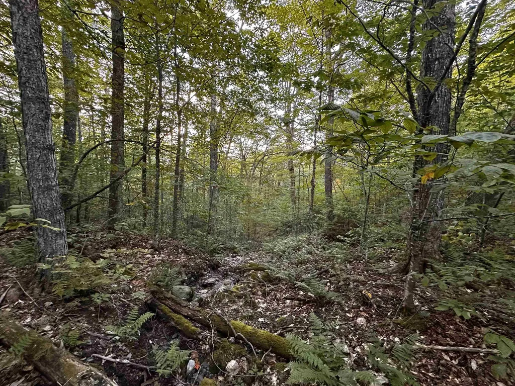 Sugarwood Lane Littleton NH 03561