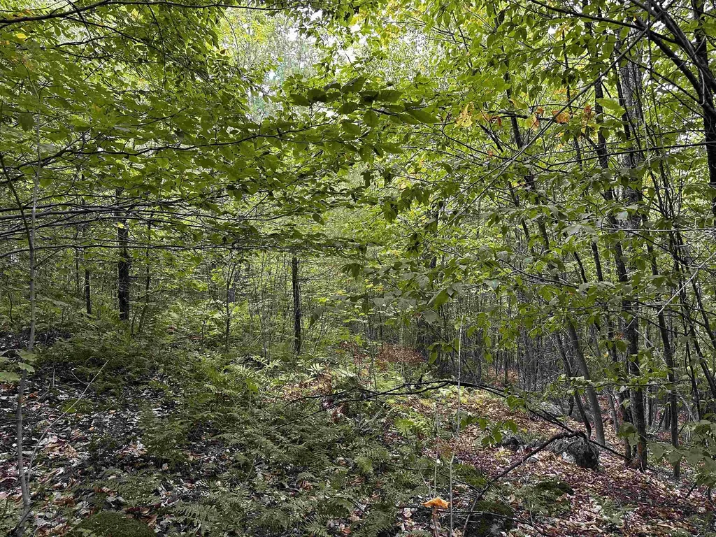 Sugarwood Lane Littleton NH 03561