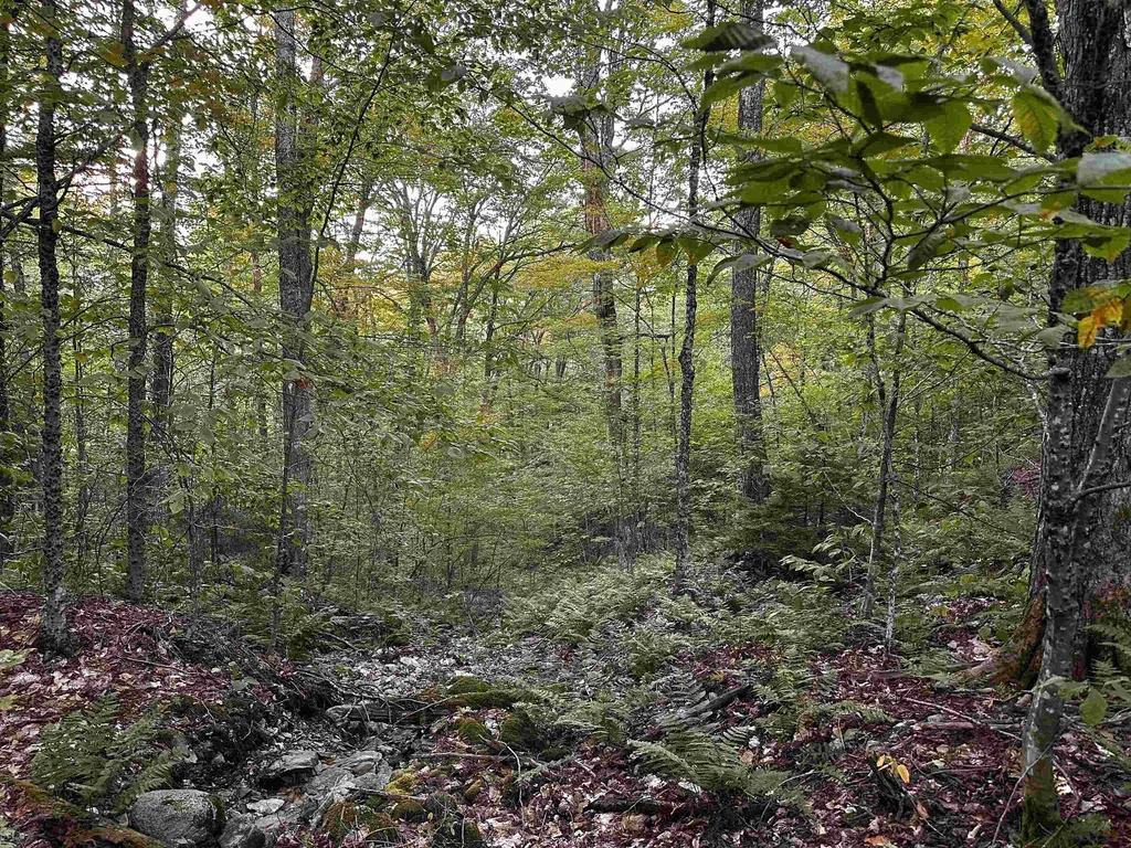 Sugarwood Lane Littleton NH 03561