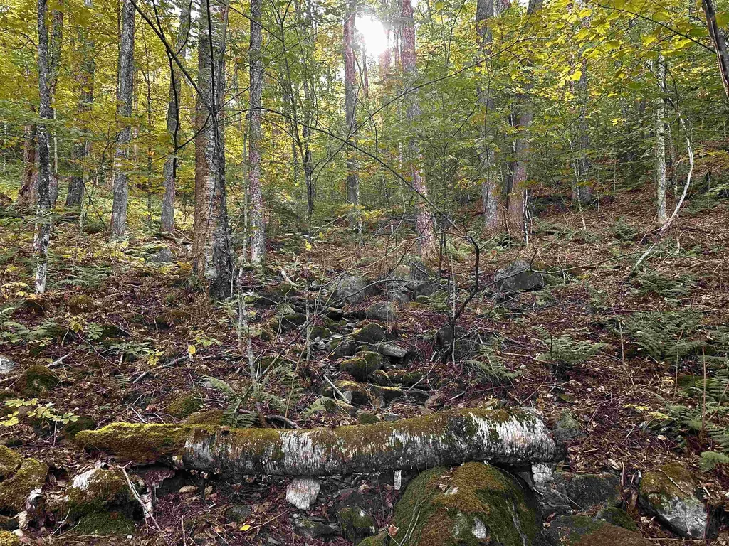 Sugarwood Lane Littleton NH 03561