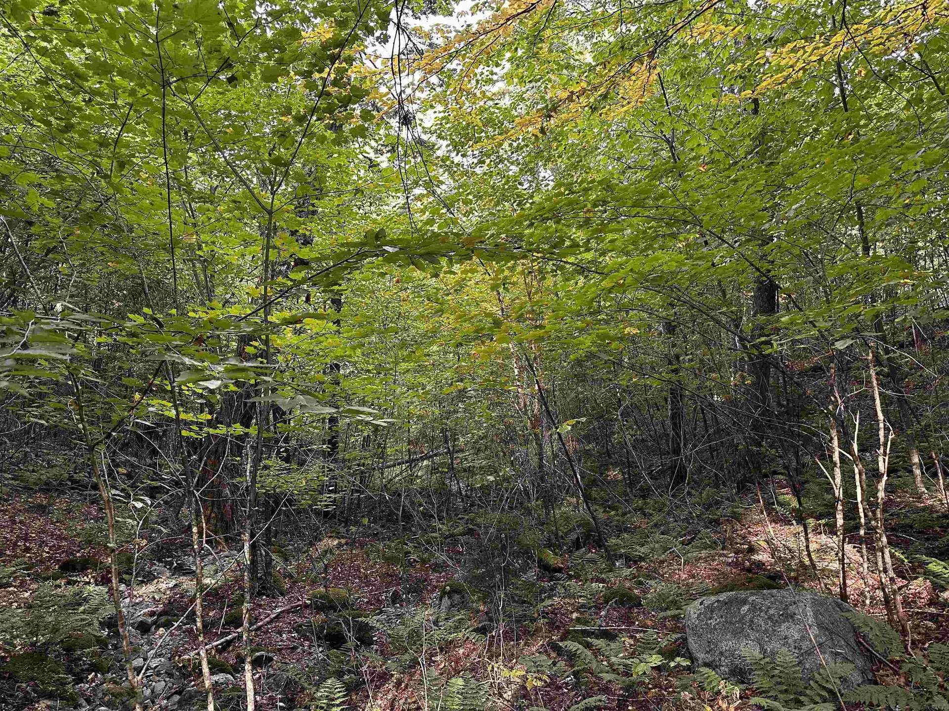 Sugarwood Lane Littleton NH 03561