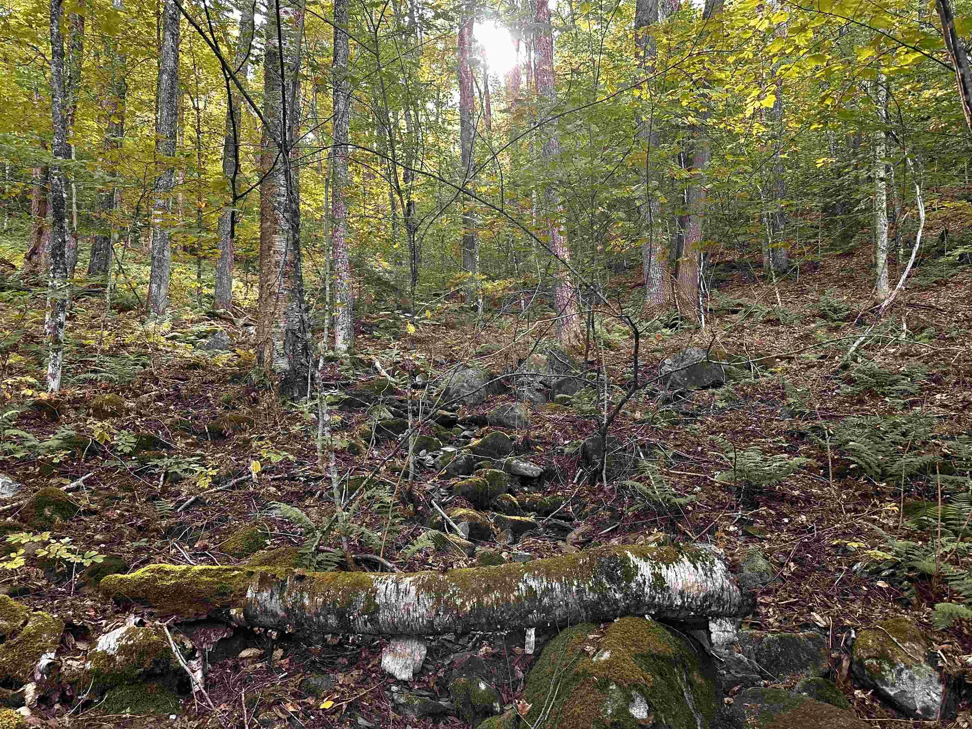 Sugarwood Lane Littleton NH 03561