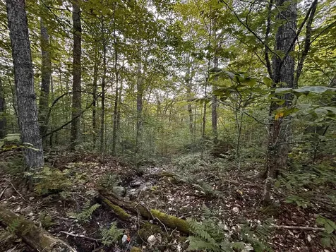 Sugarwood Lane Littleton NH 03561