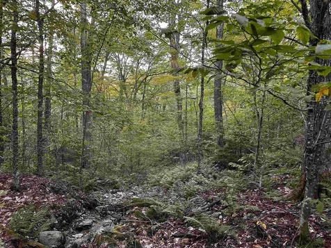 Sugarwood Lane Littleton NH 03561