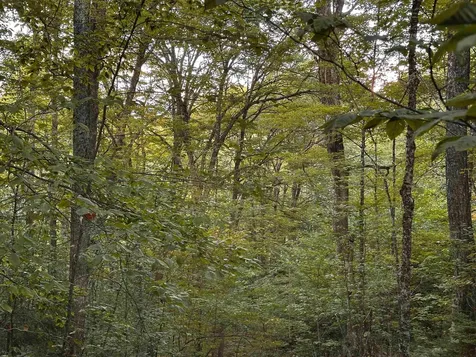 Sugarwood Lane Littleton NH 03561