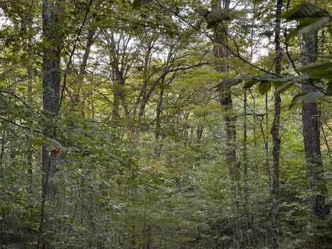 Sugarwood Lane Littleton NH 03561