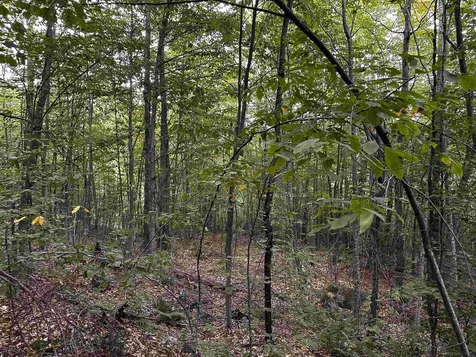 Sugarwood Lane Littleton NH 03561