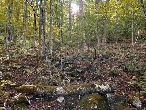 Sugarwood Lane Littleton NH 03561