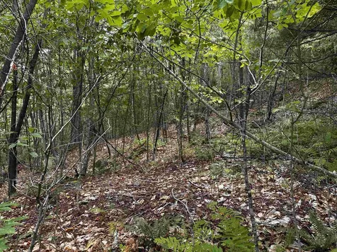 Sugarwood Lane Littleton NH 03561