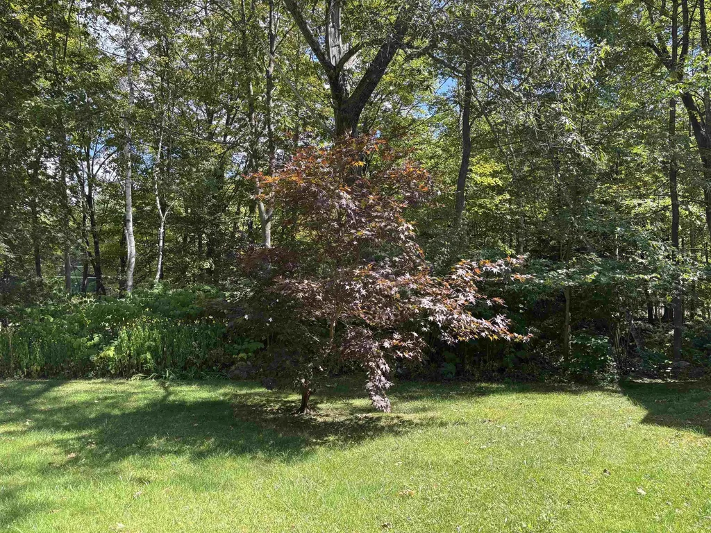 143 Vt Route 100 South Ludlow VT 05149