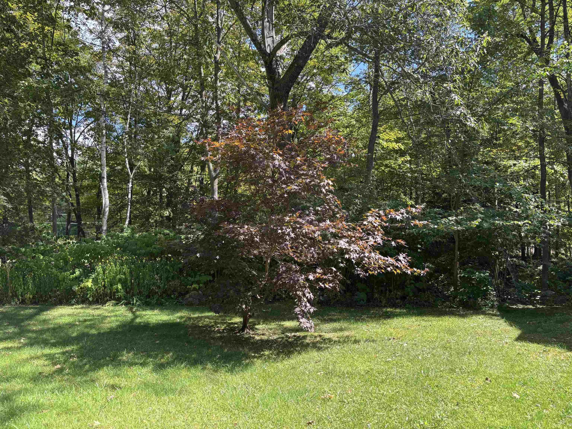 143 Vt Route 100 South Ludlow VT 05149